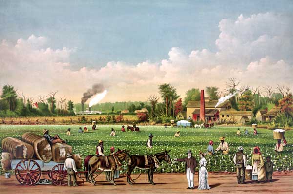 Cotton plantation on the Mississippi, Currier and Ives, 1884